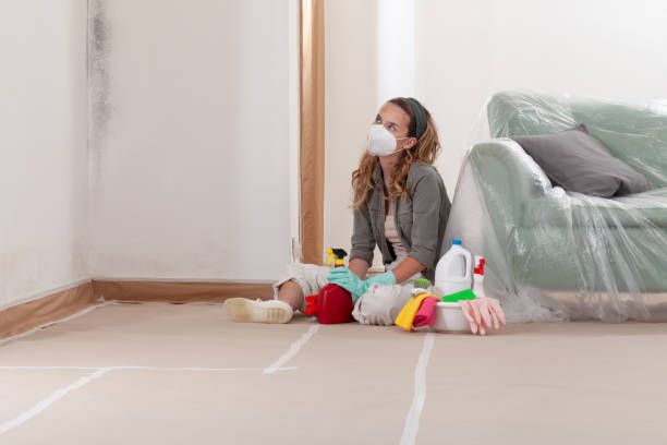 Reliable Mold Remediation contractor in Deer Park, TX by WQB Mold Removal
